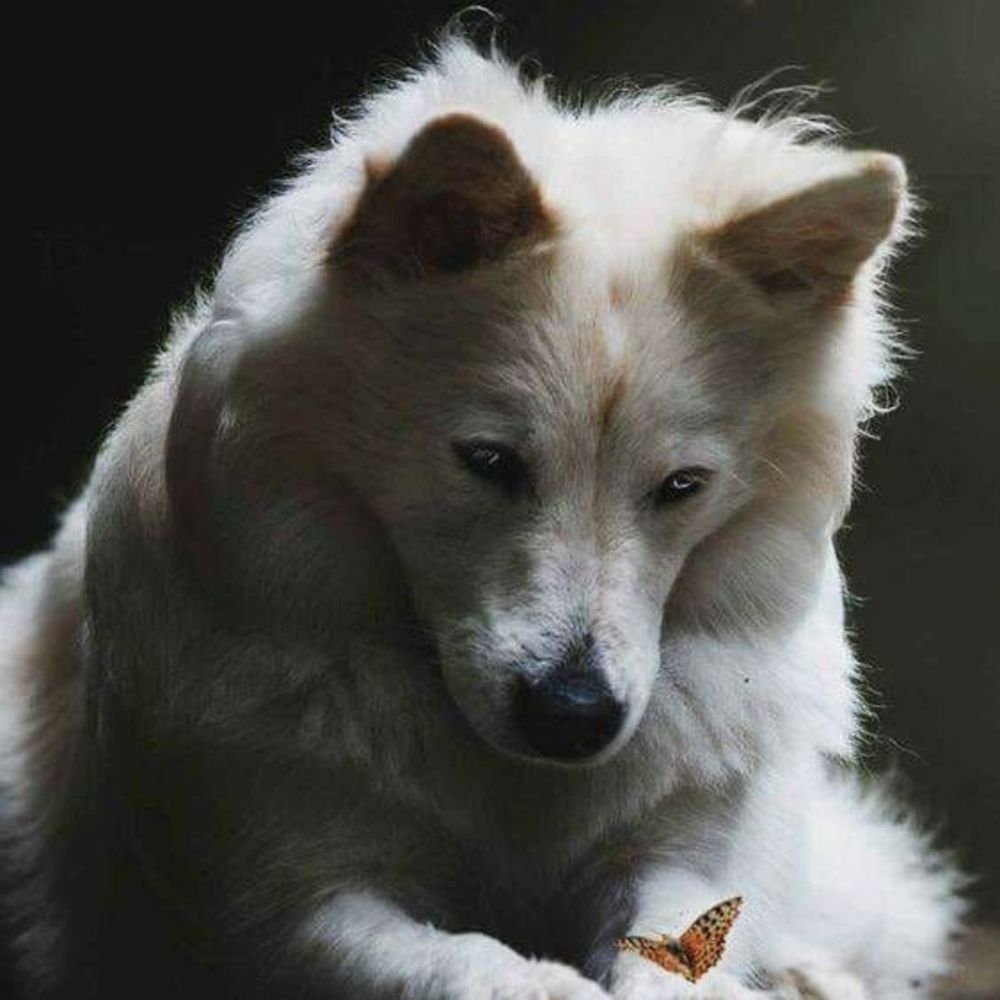 Meet your Posher, Sherry